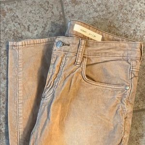 Never worn Pilcro corduroy pants